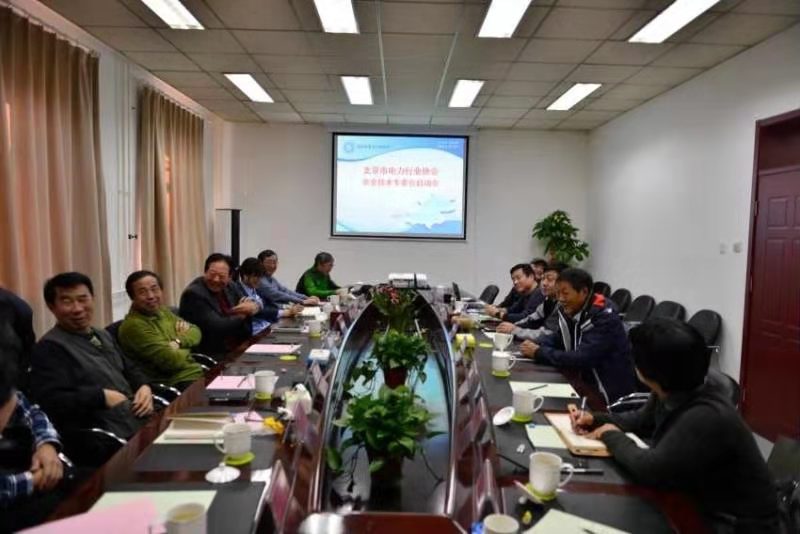北京市电力行业协会安全技术专委会在京成立